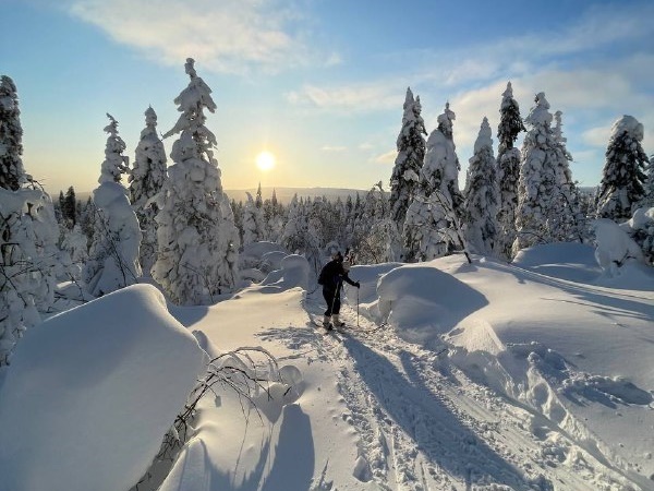 Лыжный поход Ослянка