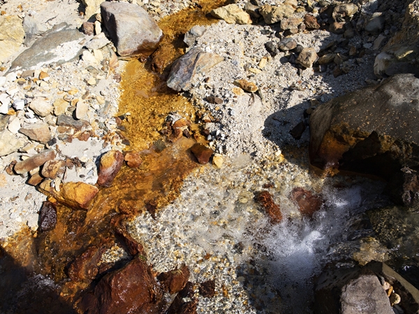 Природа острова Итуруп