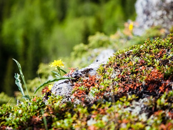 Сплав по реке Сылва
