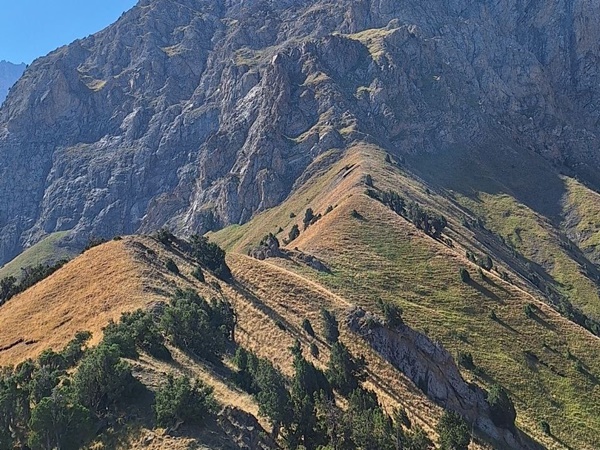 Ущелье Каравшин в Киргизии