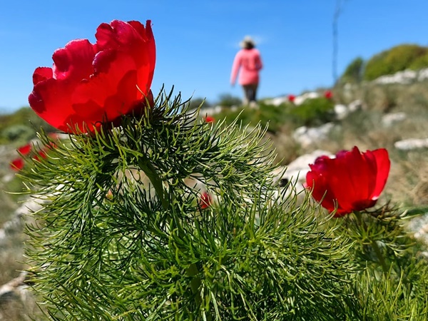Красоты Крыма Красоты Крыма