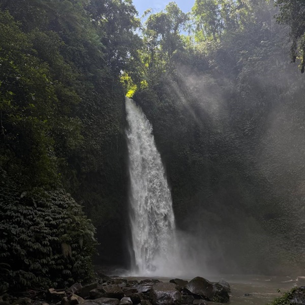 водопад на острове Бали