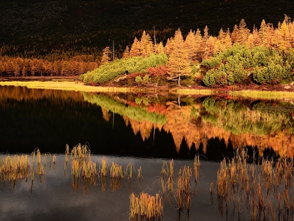 Озеро танцующих хариусов