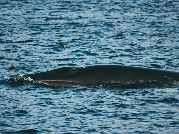 Тур по Териберке