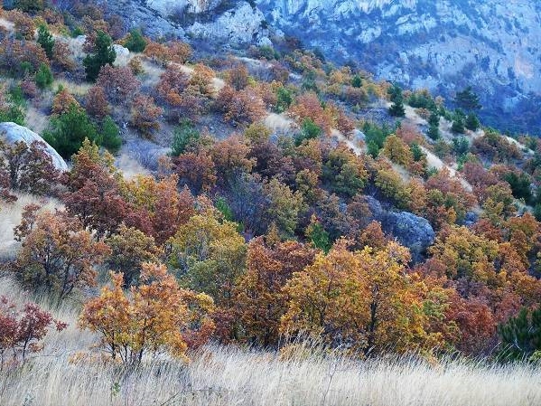 Поход по Крыму Поход по Крыму