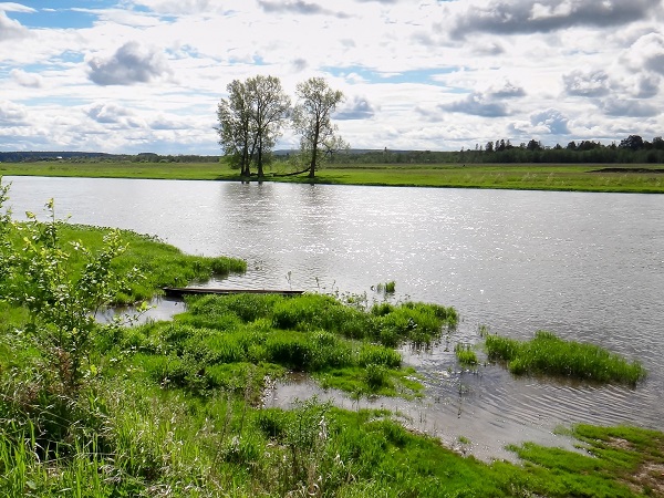 Сплав по реке Сылва
