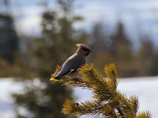 Парк Таганай