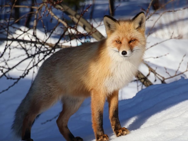 Природа Таганая