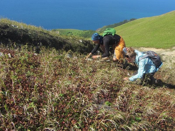 Участники похода по Сахалину