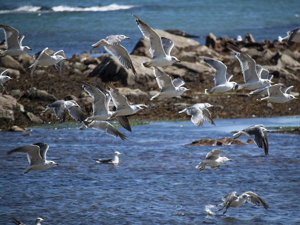 Поход по Сахалину
