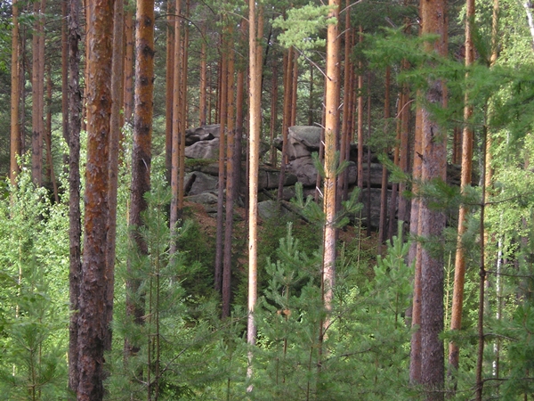 Поход на Чёртово городище