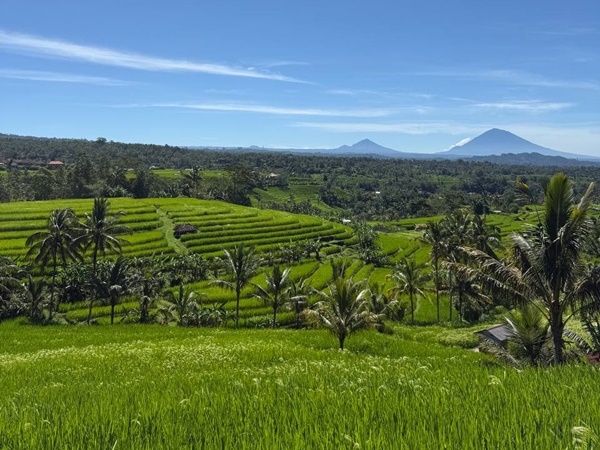 Остров Бали