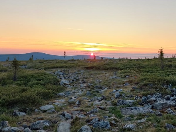 кардон Печоро-Илычского заповедника