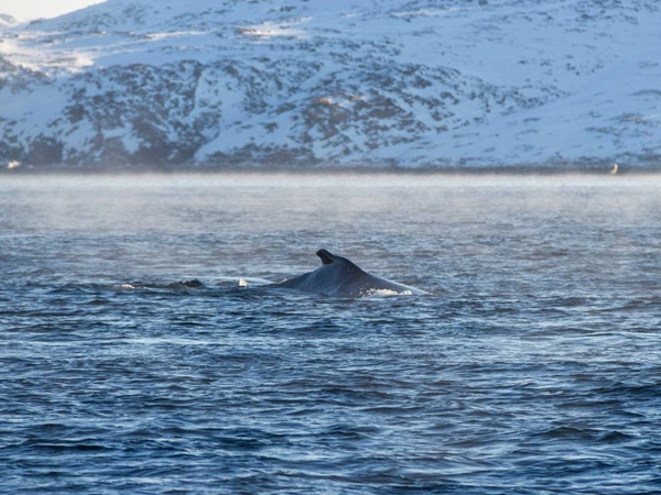 Териберка Кольский полуостров