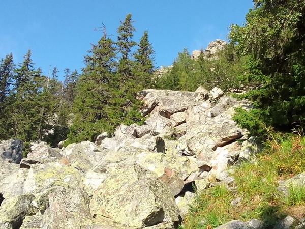 гора Малиновая гора Малиновая