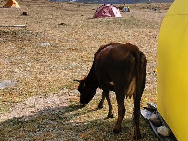Лагерь на пике Ленина
