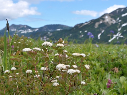 Поход по Камчатке