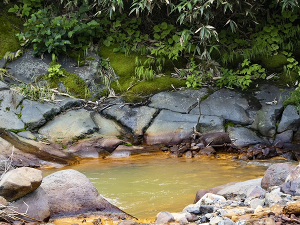 Природа острова Итуруп