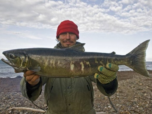 Поход по Дальнему Востоку и острову Сахалин