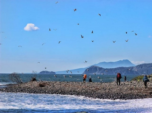 Поход по Дальнему Востоку и острову Кунашир